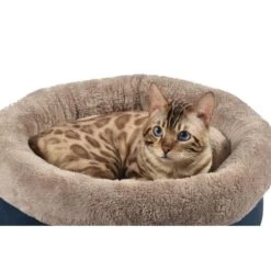 Bobby Nid Winter Choco Pour Chat S - Destockage -Animal Fournitures Boutique 176183