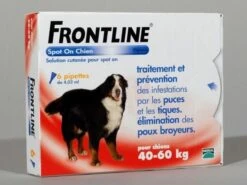 Frontline Spot On Chien De 40-60 Kg 6 Pipettes -Animal Fournitures Boutique 34fro014