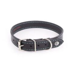 Martin Sellier Collier Cuir Flash Turquoise T35