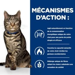Hill's Prescription Diet Feline Metabolic 250 G -Animal Fournitures Boutique 52742009421 4 prescription diet chat metabolic croquettes poulet 3