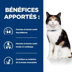 Hill's Prescription Diet Feline Y/D 3 Kg -Animal Fournitures Boutique 52742042503 4 prescription diet chat y d croquettes poulet 1 1