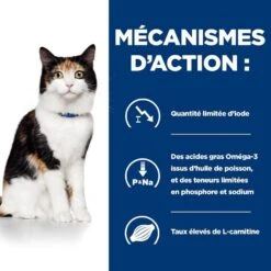 Hill's Prescription Diet Feline Y/D 3 Kg -Animal Fournitures Boutique 52742042503 5 prescription diet chat y d croquettes poulet 1 1