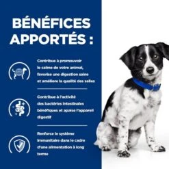 Hill's Prescription Diet Chien I/D AB+ Stress Mijotés Poulet Légumes 24 X 156 G -Animal Fournitures Boutique 52742048123 4 prescription diet chien i d stress mini croquettes 1