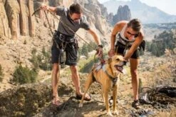 Ruffwear DoubleBack Harness XS - Destockage -Animal Fournitures Boutique 7