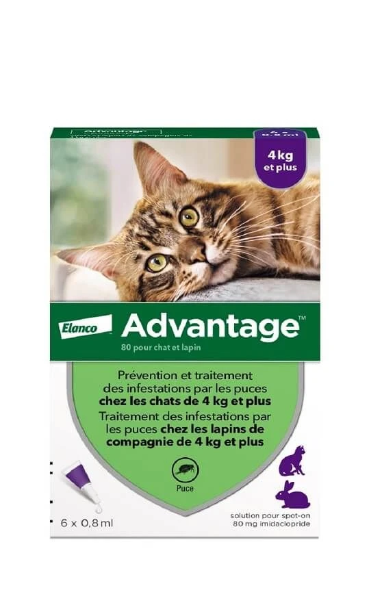 Advantage 80 Chat Et Lapin De + De 4 Kg Pipettes X6 2 Advantage 80 Chat Et Lapin De + De 4 Kg Pipettes X6 – Image 2
