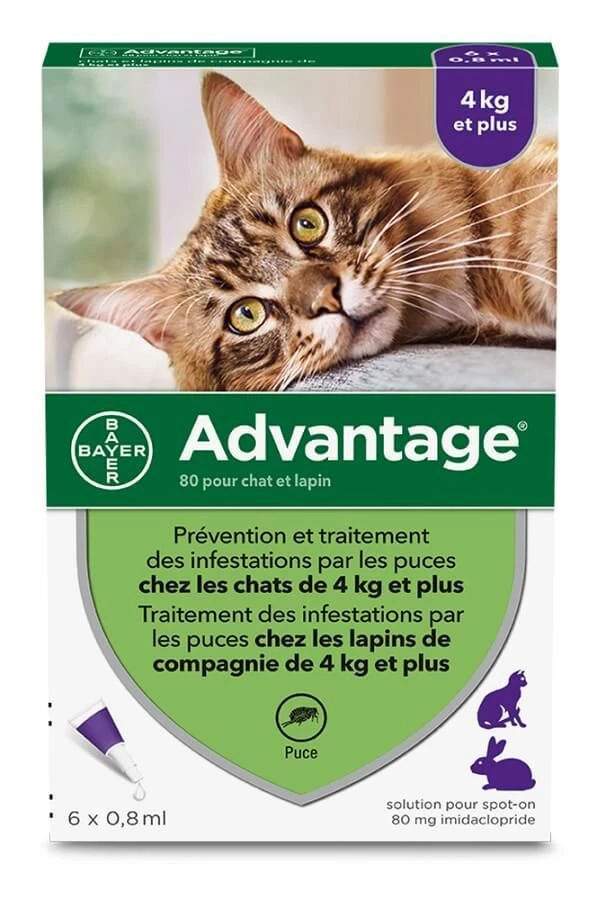 Advantage 80 Chat Et Lapin De + De 4 Kg Pipettes X6 1 Advantage 80 Chat Et Lapin De + De 4 Kg Pipettes X6
