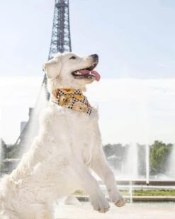 Arizona Hotdogs Bandana Bretzel/Bagel S -Animal Fournitures Boutique arizona hotdogs bandana reversible bretzel bagel la compagnie des animaux 4 6