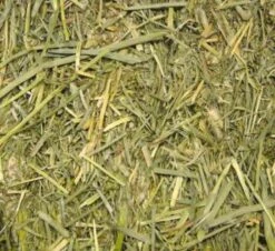 Beaphar Care+ Foin De Phléoles « Timothy Hay » 1 Kg -Animal Fournitures Boutique beaphar foin de phle oles timothy hay care 1 kg2