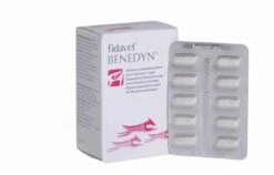 Benedyn 50 Gélules