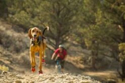 Ruffwear Bottines Grip Trex Rouge 51 Mm - Destockage -Animal Fournitures Boutique bottines ruffwear grip trex rouge 51 mm4