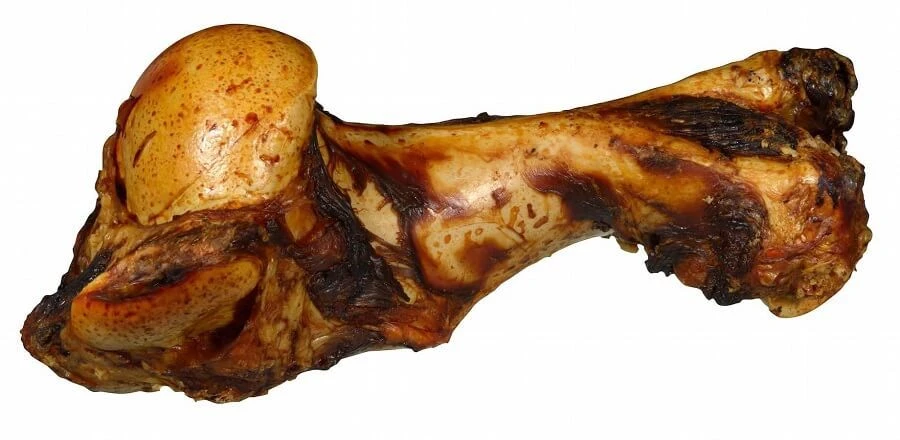 Bubimex Os De Mammouth 1.1 Kg 1 Bubimex Os De Mammouth 1.1 Kg