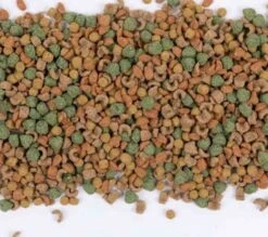 Care+ Cochon D'Inde 5 Kg -Animal Fournitures Boutique care cochon d inde 5 kg3