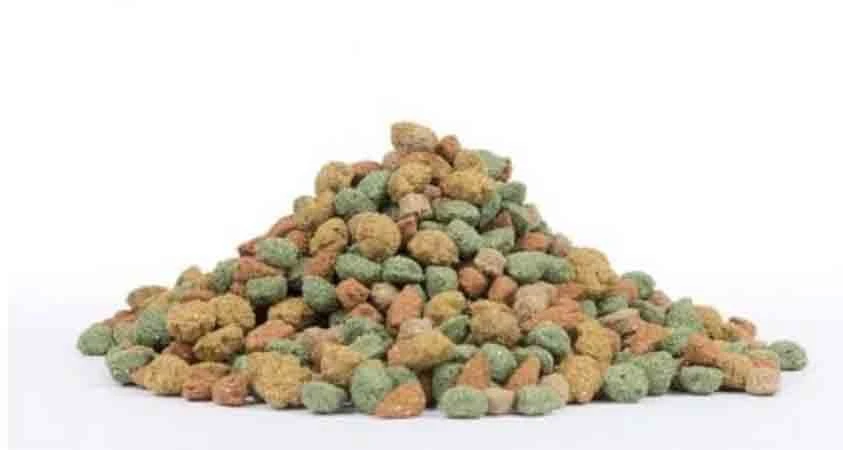 Care+ Lapin 250 Grs 2 Care+ Lapin 250 Grs – Image 2