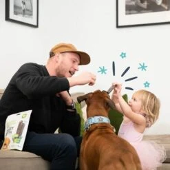 Edgard & Cooper Mach'sticks Pomme Et Eucalyptus Grand Chien 240 G -Animal Fournitures Boutique chien dental adulte naturel eucalyptus pomme 240g 3