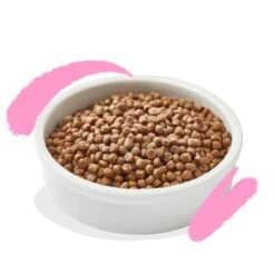 Edgard & Cooper Poulet & Canard Chaton 2 Kg -Animal Fournitures Boutique edgard cooper poulet canard chaton 2 kg 3