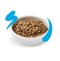 Edgard & Cooper Saumon Chat 2 Kg -Animal Fournitures Boutique edgard cooper saumon chat 2 kg 3