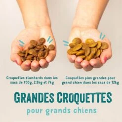 Edgard & Cooper Agneau Frais Sans Céréales Chien Adulte 7 Kg 12 Edgard & Cooper Agneau Frais Sans Céréales Chien Adulte 7 Kg -Animal Fournitures Boutique edgard cooper croquettes agneau frais sans c r ales chien adulte 2