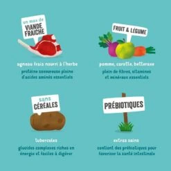 Edgard & Cooper Agneau Frais Sans Céréales Chien Adulte 7 Kg 17 Edgard & Cooper Agneau Frais Sans Céréales Chien Adulte 7 Kg -Animal Fournitures Boutique edgard cooper croquettes agneau frais sans c r ales chien adulte 4 2