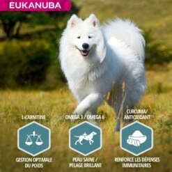 Eukanuba Chien Adulte Petite Et Moyenne Race Agneau Et Riz 2.5 Kg 11 Eukanuba Chien Adulte Petite Et Moyenne Race Agneau Et Riz 2.5 Kg -Animal Fournitures Boutique eukanuba chien adult petite et moyenne race agneau et riz 6