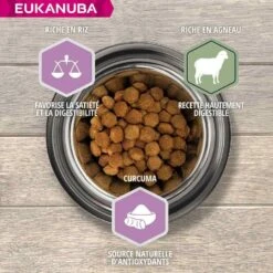 Eukanuba Puppy Junior Grande Race Agneau & Riz 12 Kg -Animal Fournitures Boutique eukanuba puppy junior grande race agneau riz 12 kg