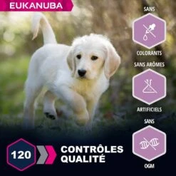 Eukanuba Puppy Junior Grande Race Agneau & Riz 12 Kg -Animal Fournitures Boutique eukanuba puppy junior grande race agneau riz 4 2