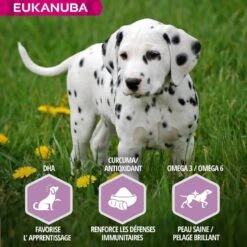 Eukanuba Puppy Junior Grande Race Agneau & Riz 12 Kg -Animal Fournitures Boutique eukanuba puppy junior grande race agneau riz 6 2