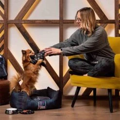 For Fan Pets Corbeille Star Wars S -Animal Fournitures Boutique for fan pets corbeille star wars s 5