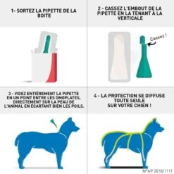 Frontline Spot On Chien De 40-60 Kg 6 Pipettes -Animal Fournitures Boutique frontline spot on chien de 40 60 kg 6 pipettes2