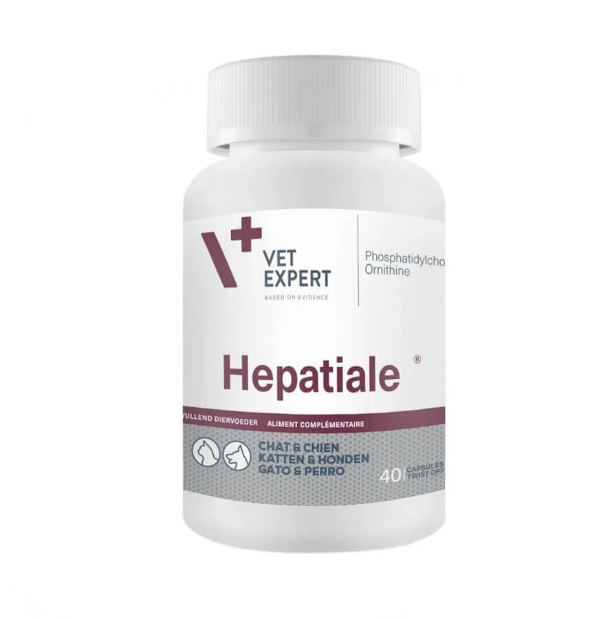 VetExpert Hépatiale XL 40 Cps 1 VetExpert Hépatiale XL 40 Cps