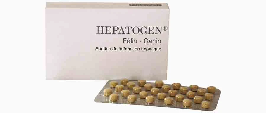 Hepatogen Félin Canin 60 Cps 1 Hepatogen Félin Canin 60 Cps