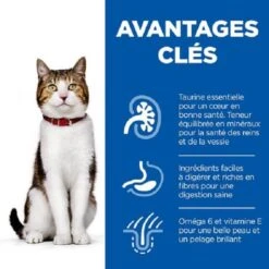 Hill's Science Plan Hill's Science Plan Feline Mature Poulet 10 Kg -Animal Fournitures Boutique hill s science plan feline mature poulet 10 kg 3