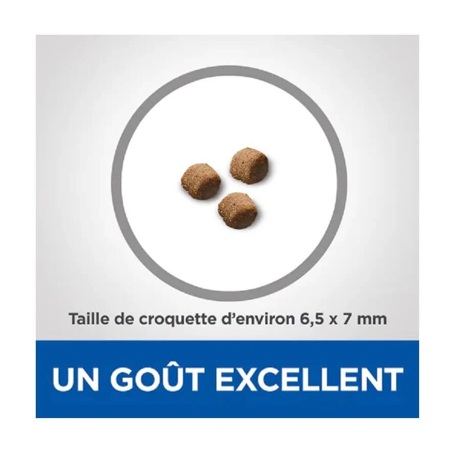 Hill's Science Plan VetEssentials Feline Kitten Growth AB+ Poulet 3 Kg 5 Hill's Science Plan VetEssentials Feline Kitten Growth AB+ Poulet 3 Kg – Image 5