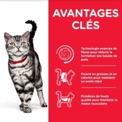 Hill's Science Plan Hill's Science Plan Feline Adult Hairball Indoor Poulet 1,5 Kg -Animal Fournitures Boutique hill s science plan feline adult hairball indoor poulet 1 5 kg4