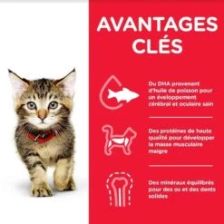 Hill's Science Plan Hill's Science Plan Feline Kitten Poulet 1,5 Kg -Animal Fournitures Boutique hill s science plan kitten healthy development poulet 1 5 kg2