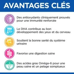 Hill's Science Plan VetEssentials Feline Kitten Growth Poulet 2,5 Kg -Animal Fournitures Boutique hill s vet essentials kitten growth poulet 3 1