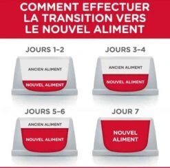 Hill's Science Plan Hill's Science Plan Feline Adult Thon 10 Kg -Animal Fournitures Boutique hill s science plan feline adult thon 10 kg5