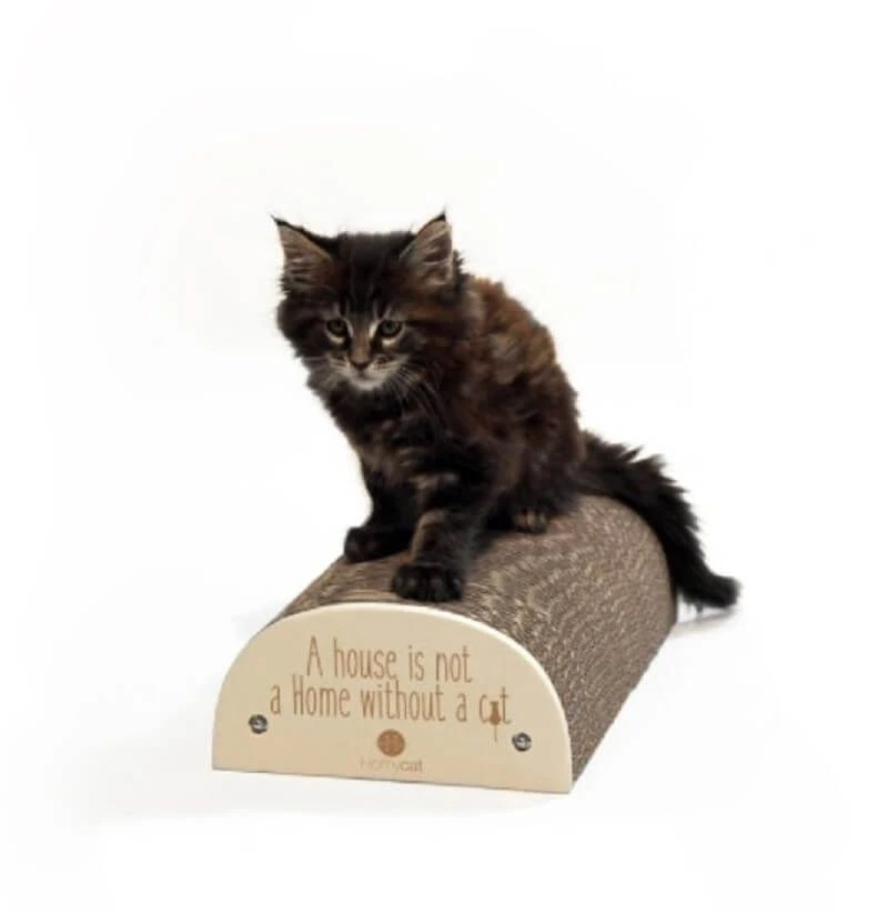 Homycat Griffoir "A HOUSE IS NOT A HOME WITHOUT A CAT" - Destockage