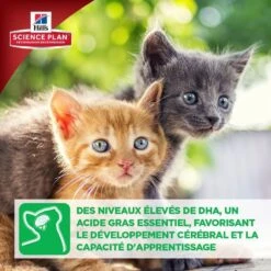 Hill's Science Plan Hill's Science Plan Feline Kitten Poulet 1,5 Kg -Animal Fournitures Boutique kitten healthy development2 2 2