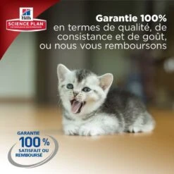 Hill's Science Plan Hill's Science Plan Feline Kitten Poulet 1,5 Kg -Animal Fournitures Boutique kitten healthy development 6 2
