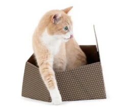 Cat In The Box KITTY 30 X 30 X 32 Cm