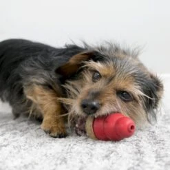 KONG Friandises Marathon Chicken Pour Chien M 136 G -Animal Fournitures Boutique kong friandises marathon chicken 1