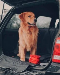 Kurgo Abreuvoir De Voyage Zippy Rouge 1,4 L -Animal Fournitures Boutique kurgo abreuvoir de voyage zippy rouge 1 4 l3