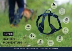 Kyflie Harnais Momentum Bleu M -Animal Fournitures Boutique kyflie harnais momentum la compagnie des animaux 12