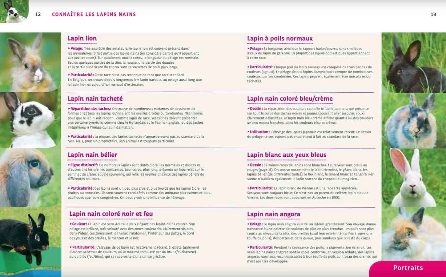 Livre - Lapins Nains 3 Livre - Lapins Nains – Image 3