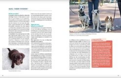 Livre - L'éducation Positive Du Chien -Animal Fournitures Boutique livre l ducation positive du chien4