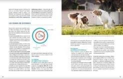 Livre - L'éducation Positive Du Chien -Animal Fournitures Boutique livre l ducation positive du chien6