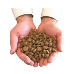 Felichef Croquettes BIO Sans Céréales, Sans Gluten Chat Stérilisé 2 Kg -Animal Fournitures Boutique main avec croquettes 3 8