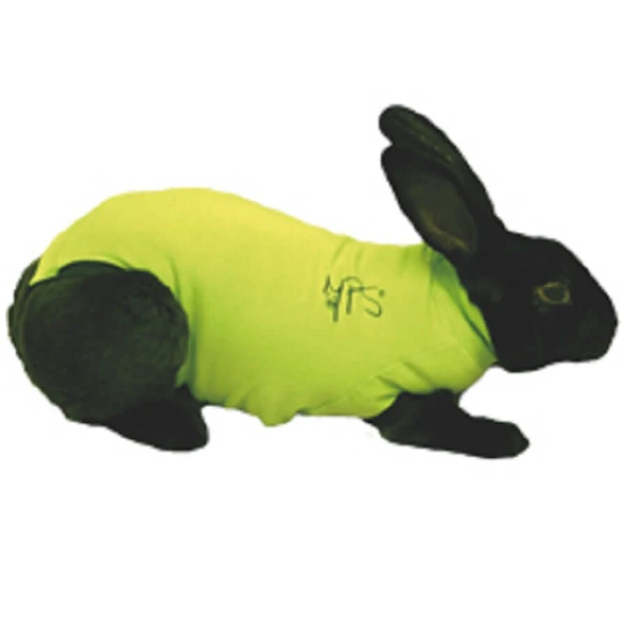 Medical Pet Shirt Gilet Protecteur Lapin XXXS 1 Medical Pet Shirt Gilet Protecteur Lapin XXXS