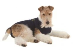 Medical Pet Shirt Chien S Plus