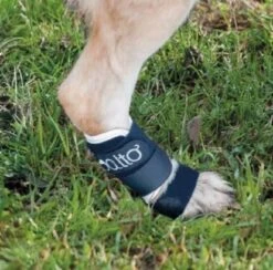 Orthese Balto Carpe Et Tarse L -Animal Fournitures Boutique orthese balto carpe et tarse3 1 1 1 1